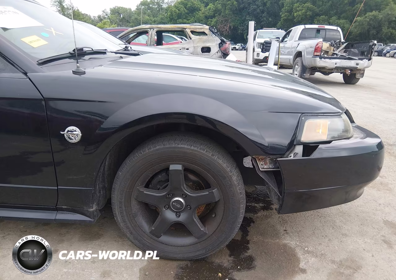 2004 Ford Mustang VIN:1FAFP444X4F117572 - 18