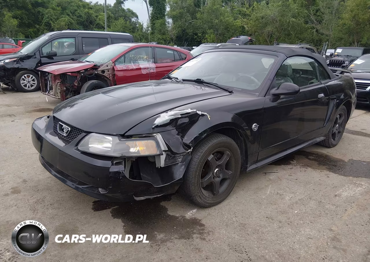2004 Ford Mustang VIN:1FAFP444X4F117572 - 2