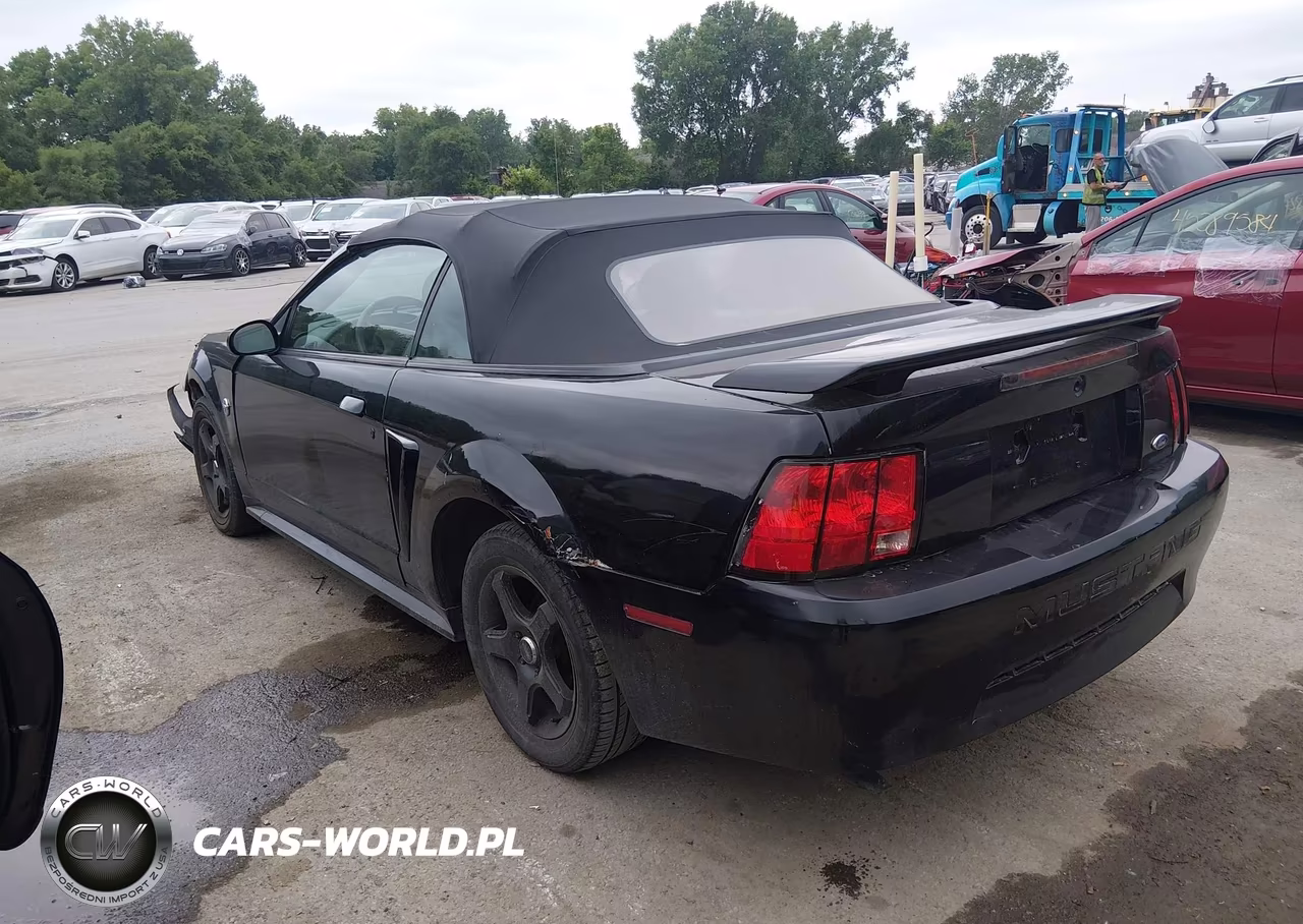 2004 Ford Mustang VIN:1FAFP444X4F117572 - 3
