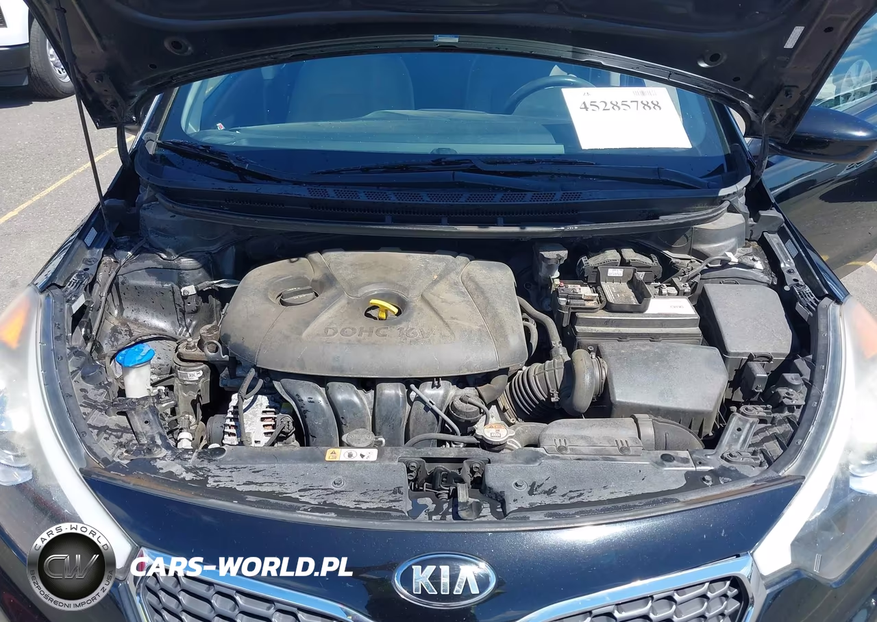2016 Kia Forte Lx VIN:KNAFK4A64G5554425 - 10