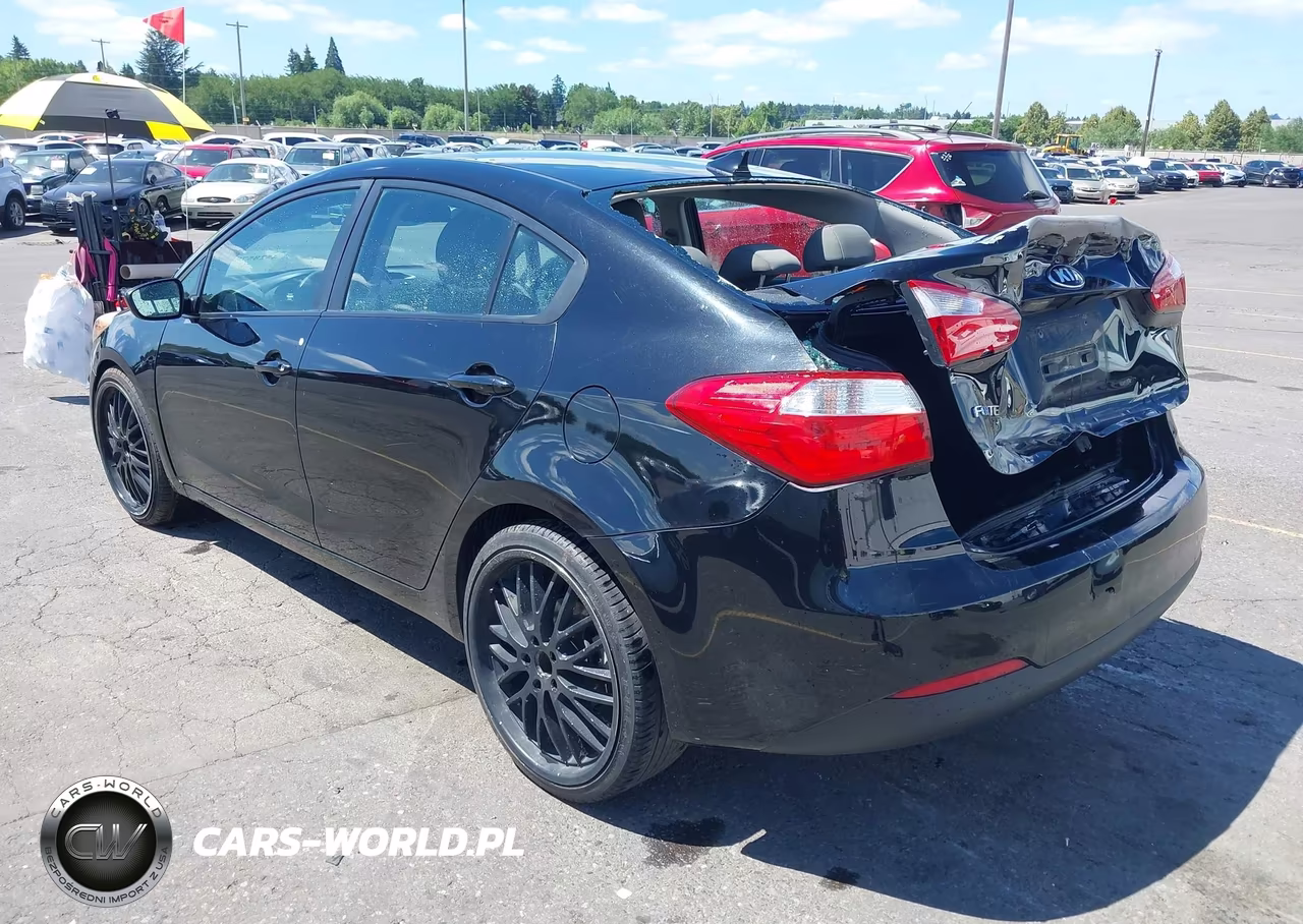 2016 Kia Forte Lx VIN:KNAFK4A64G5554425 - 3