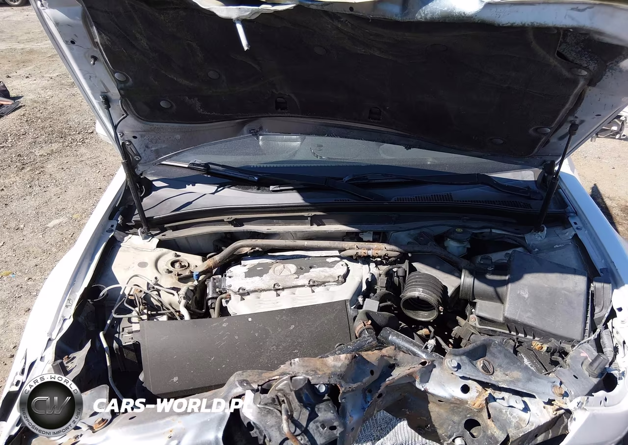 2009 Acura Tl 3.5 VIN:19UUA86599A008932 - 10