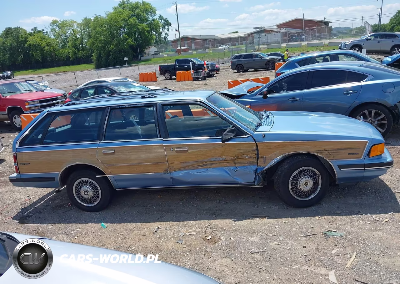 1989 Buick Century Custom VIN:1G4AH81NXKG403754 - 13