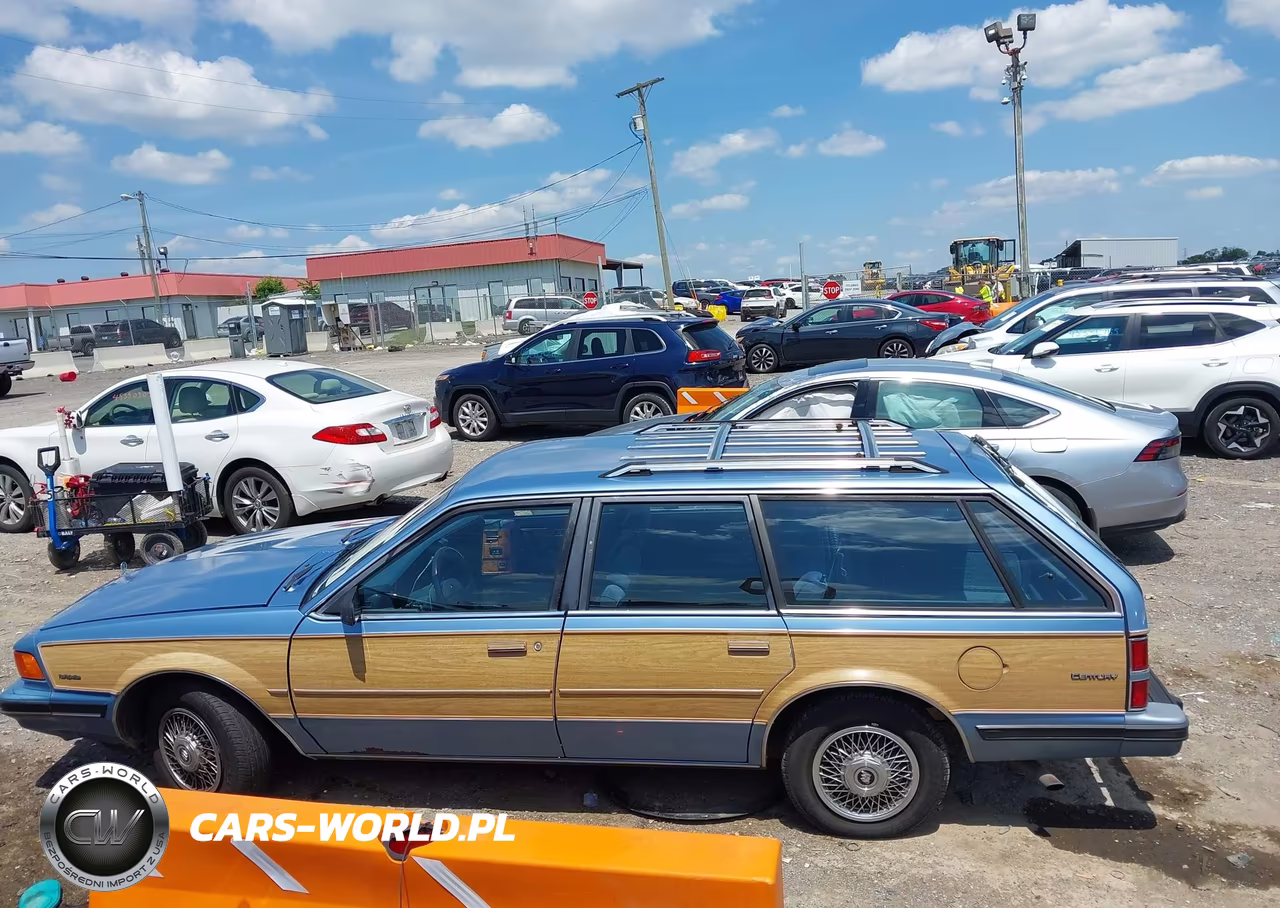1989 Buick Century Custom VIN:1G4AH81NXKG403754 - 14