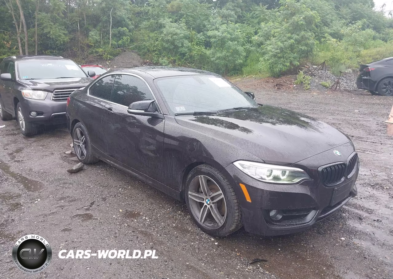2017 BMW 230I