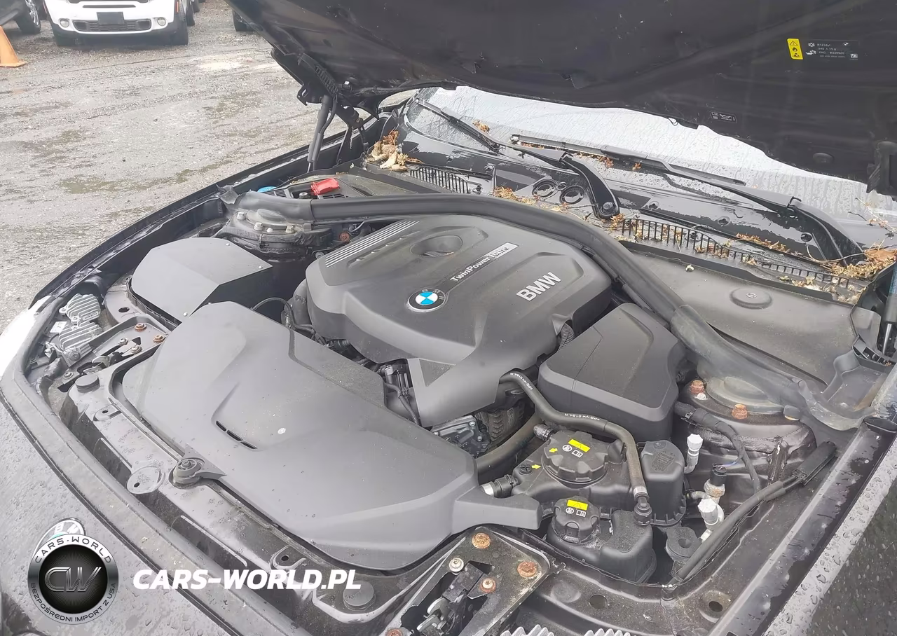 2017 BMW 230I VIN:WBA2F9C39HV635893 - 10
