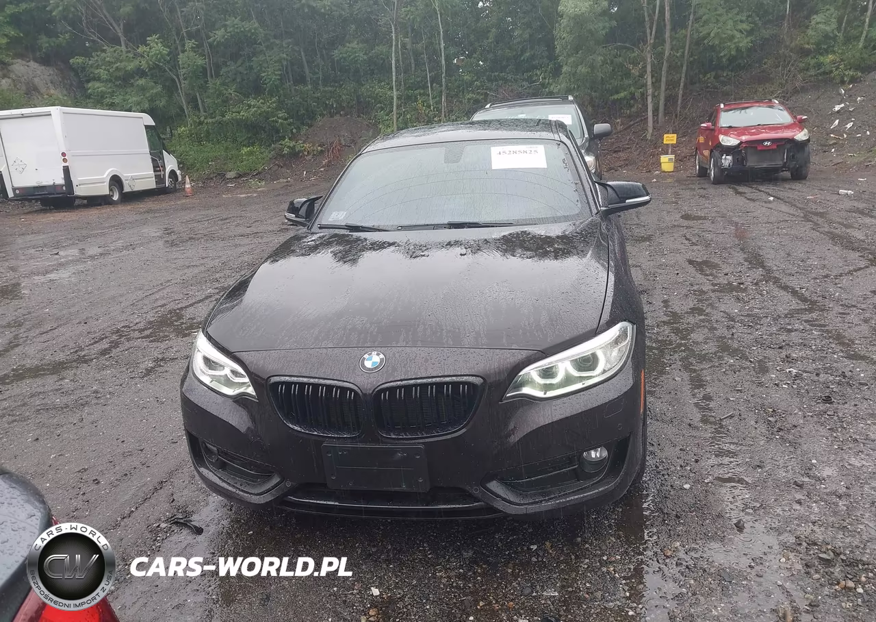 2017 BMW 230I VIN:WBA2F9C39HV635893 - 12