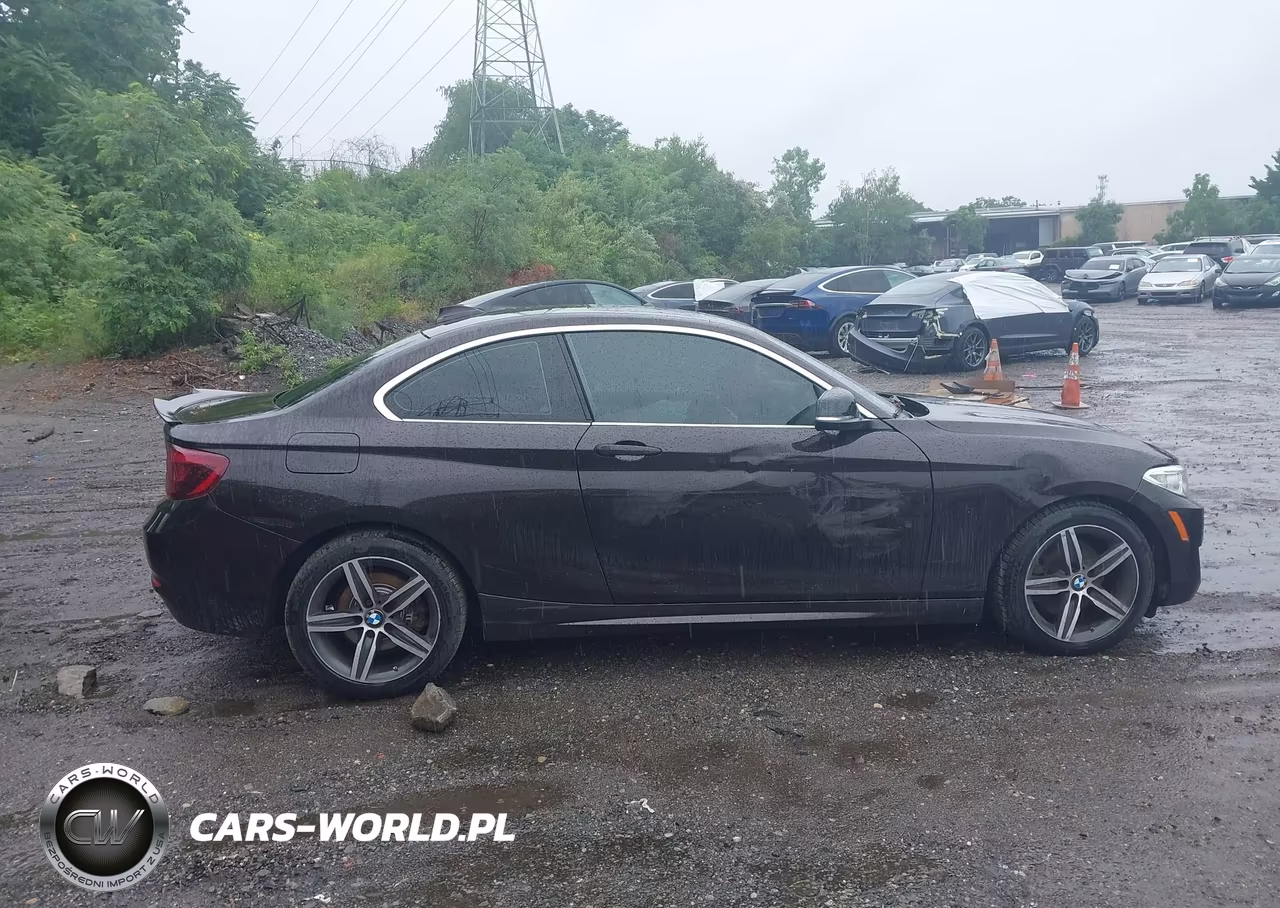 2017 BMW 230I VIN:WBA2F9C39HV635893 - 13