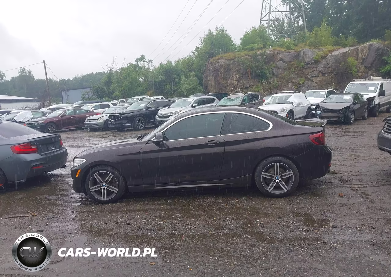 2017 BMW 230I VIN:WBA2F9C39HV635893 - 14