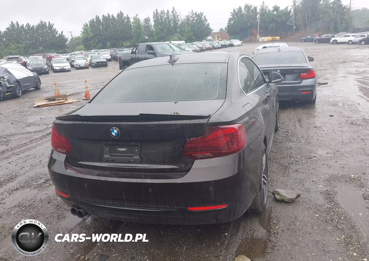 2017 BMW 230I VIN:WBA2F9C39HV635893 - 16