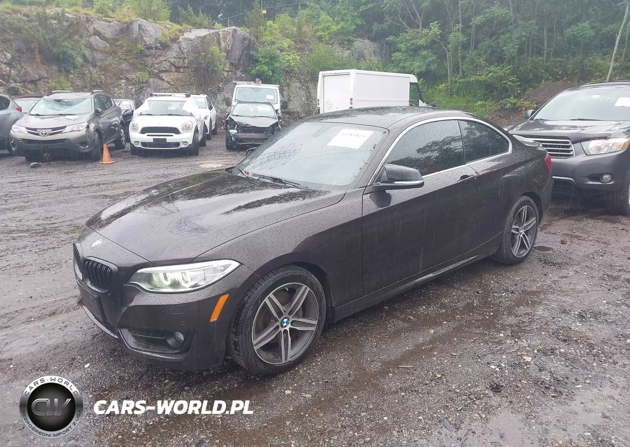 2017 BMW 230I VIN:WBA2F9C39HV635893 - 2