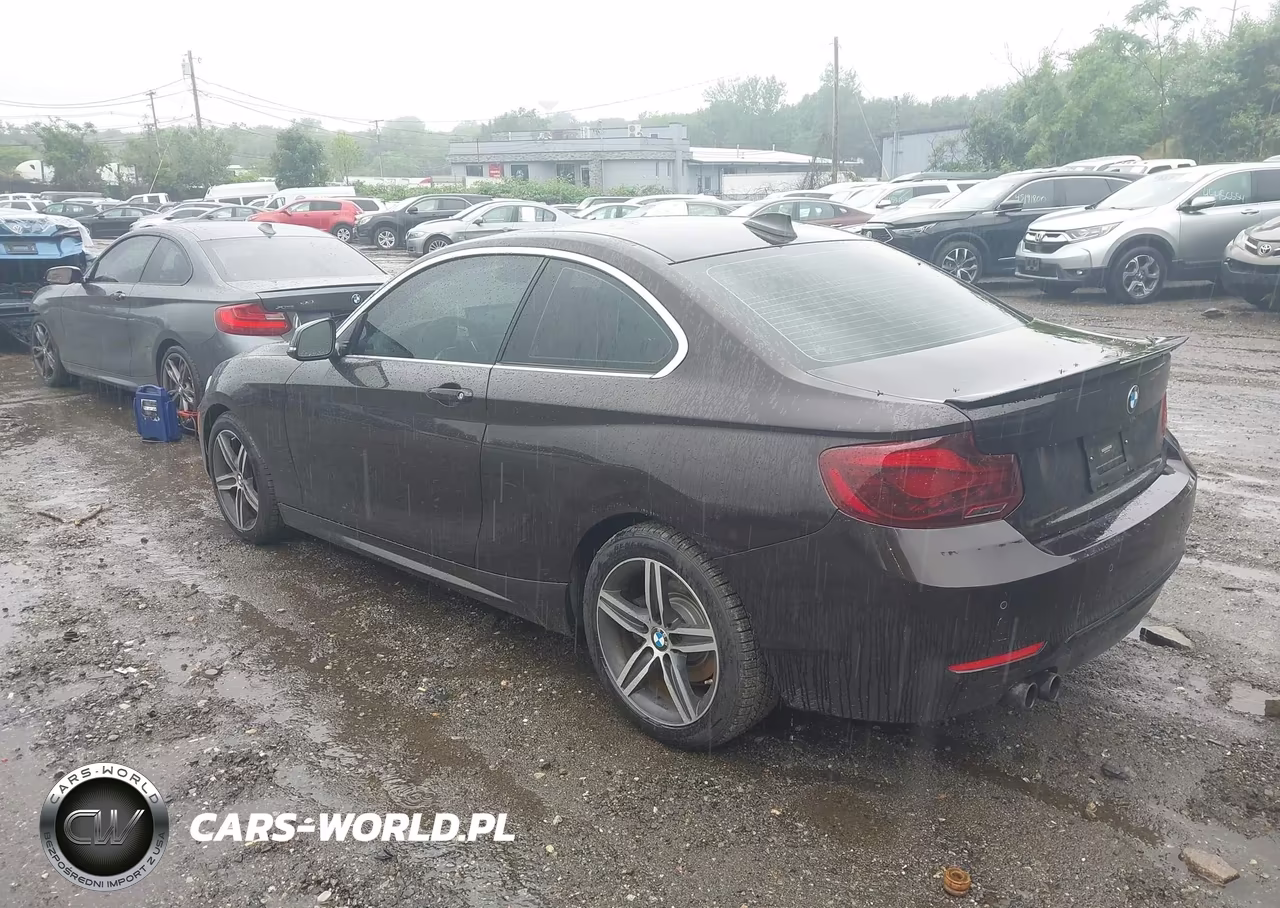 2017 BMW 230I VIN:WBA2F9C39HV635893 - 3