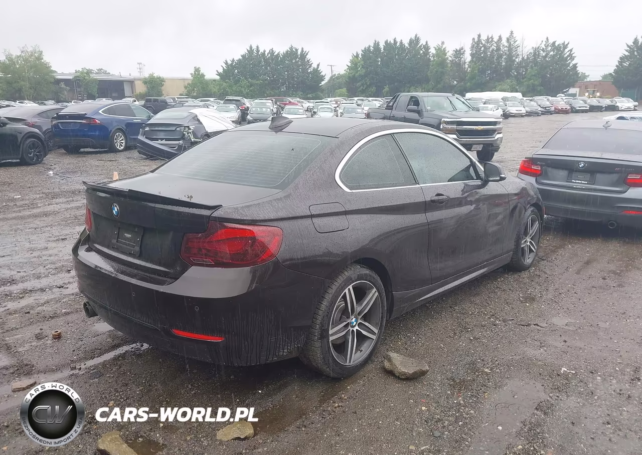 2017 BMW 230I VIN:WBA2F9C39HV635893 - 4