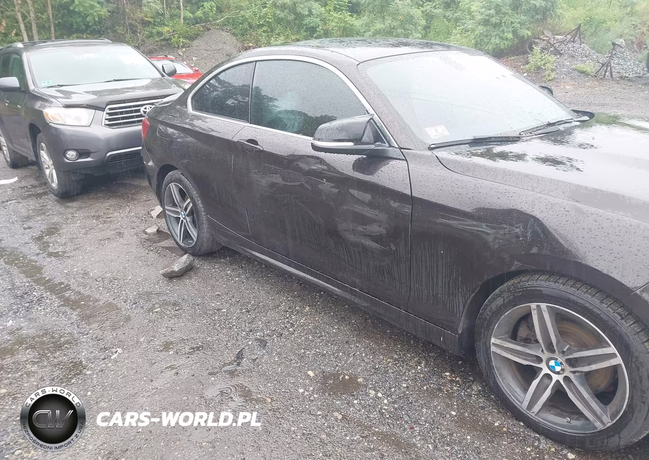 2017 BMW 230I VIN:WBA2F9C39HV635893 - 6