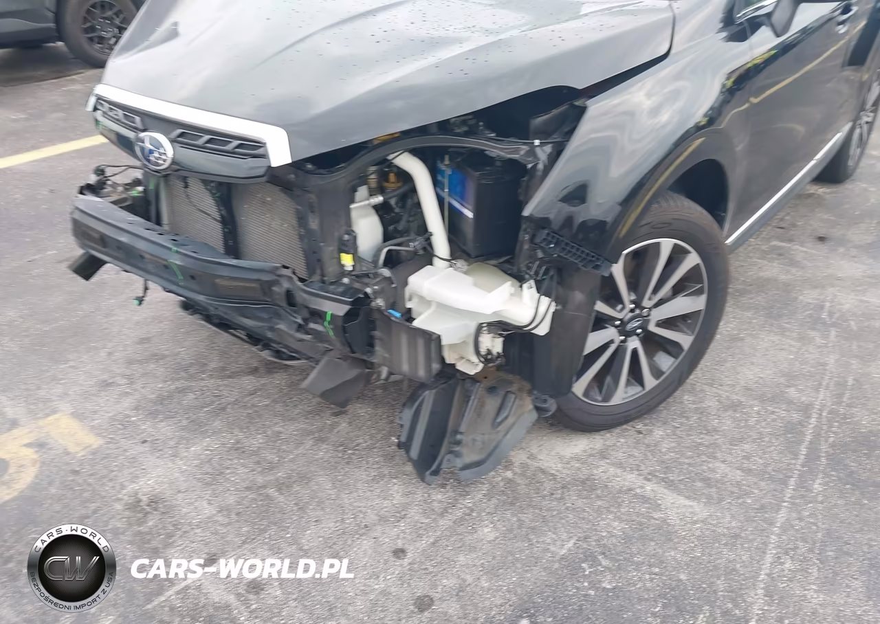 2018 Subaru Forester 2.0Xt Touring VIN:JF2SJGWC7JH525058 - 6