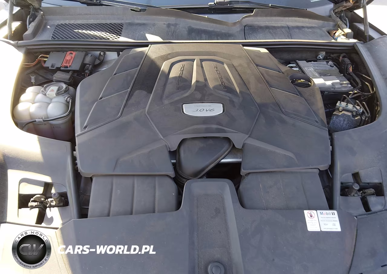 2019 Porsche Cayenne VIN:WP1AA2AY1KDA00679 - 10