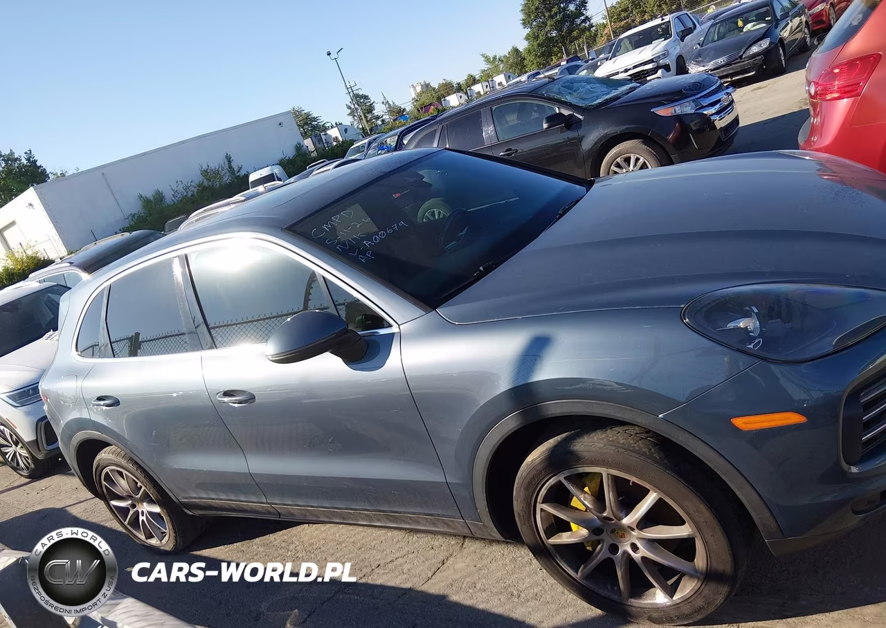 2019 Porsche Cayenne VIN:WP1AA2AY1KDA00679 - 13