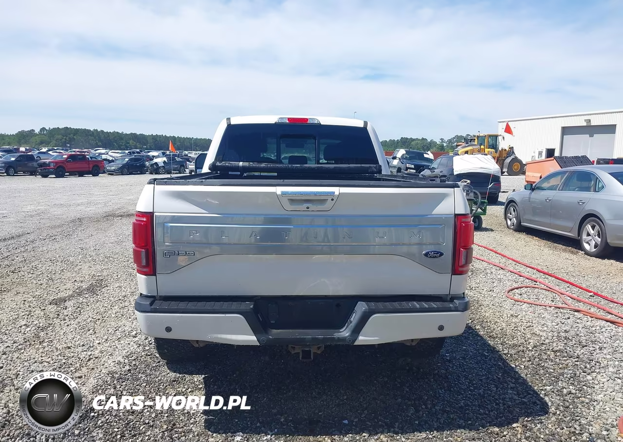 2016 Ford F-150 Platinum VIN:1FTFW1EG2GFB35637 - 16