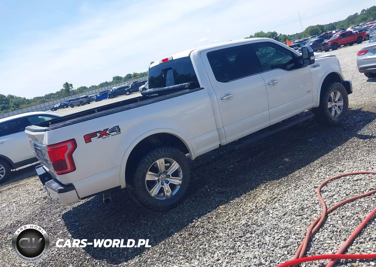 2016 Ford F-150 Platinum VIN:1FTFW1EG2GFB35637 - 4