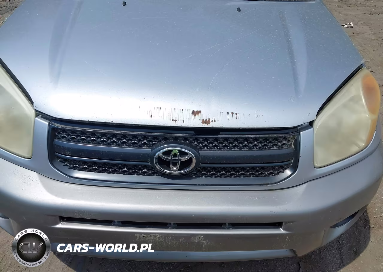 2004 Toyota Rav4 VIN:JTEHD20V340013146 - 6