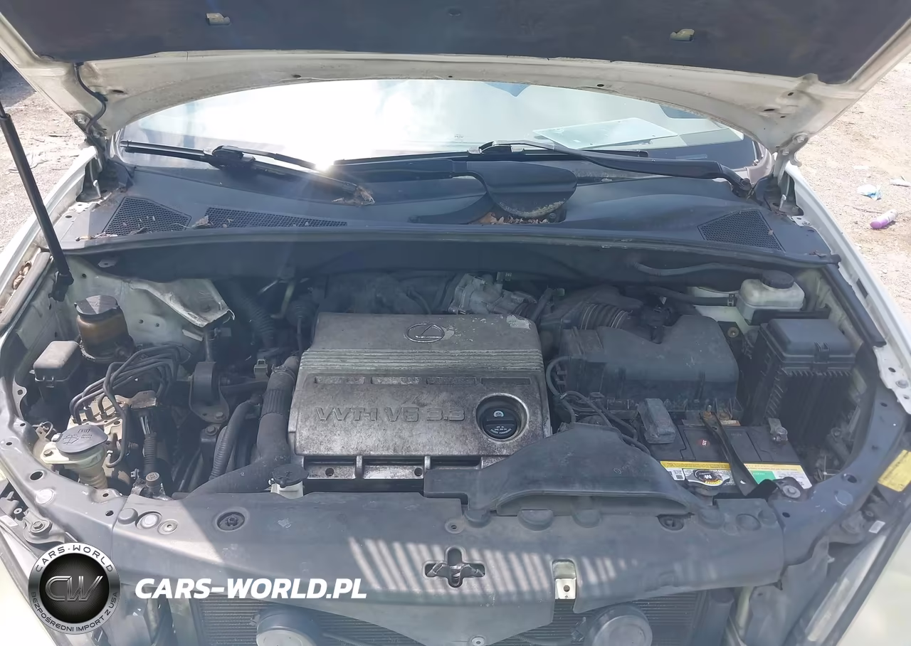 2005 Lexus Rx 330 VIN:2T2GA31U45C028083 - 10