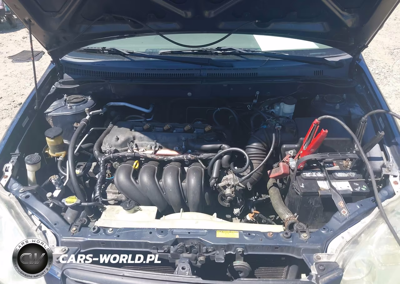 2003 Toyota Corolla Le VIN:JTDBR32E630020802 - 10