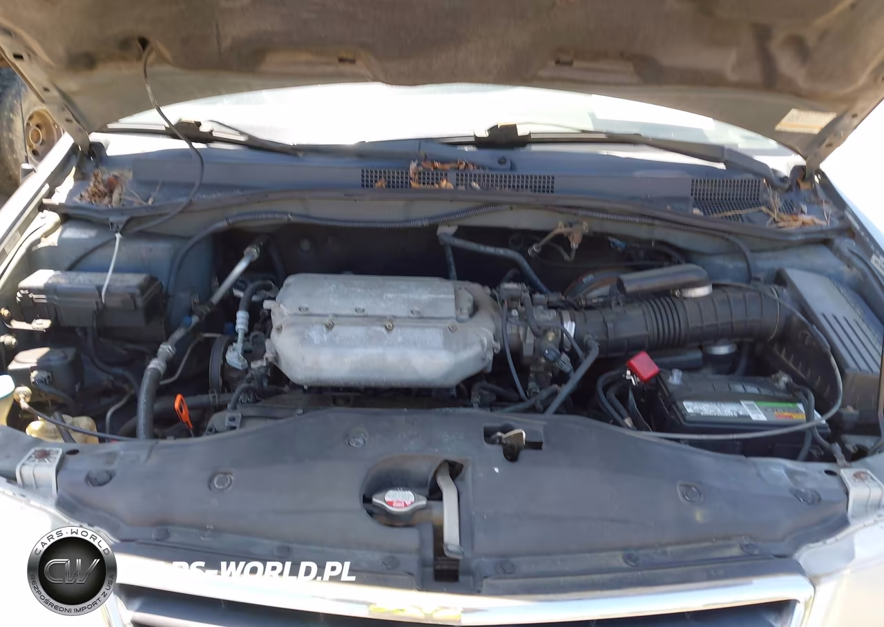 2002 Honda Odyssey Ex-L VIN:5FNRL18992B006066 - 10