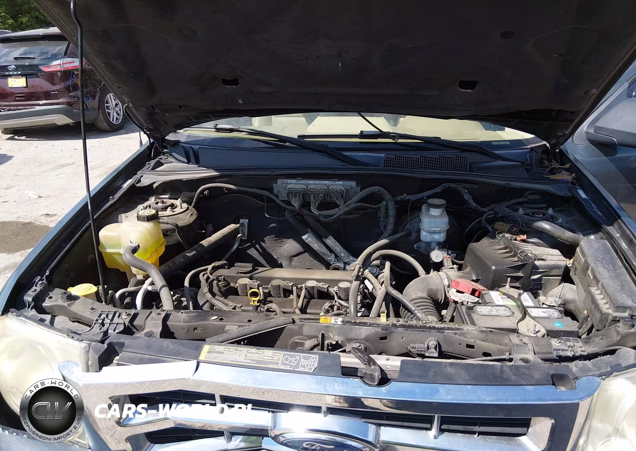 2009 Ford Escape Xlt VIN:1FMCU93749KA11742 - 10