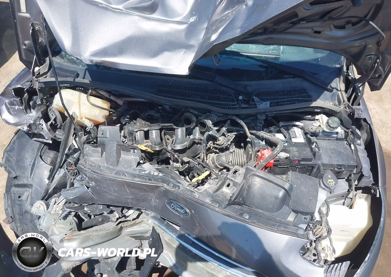 2014 Ford Fiesta Se VIN:3FADP4BJ9EM154193 - 10