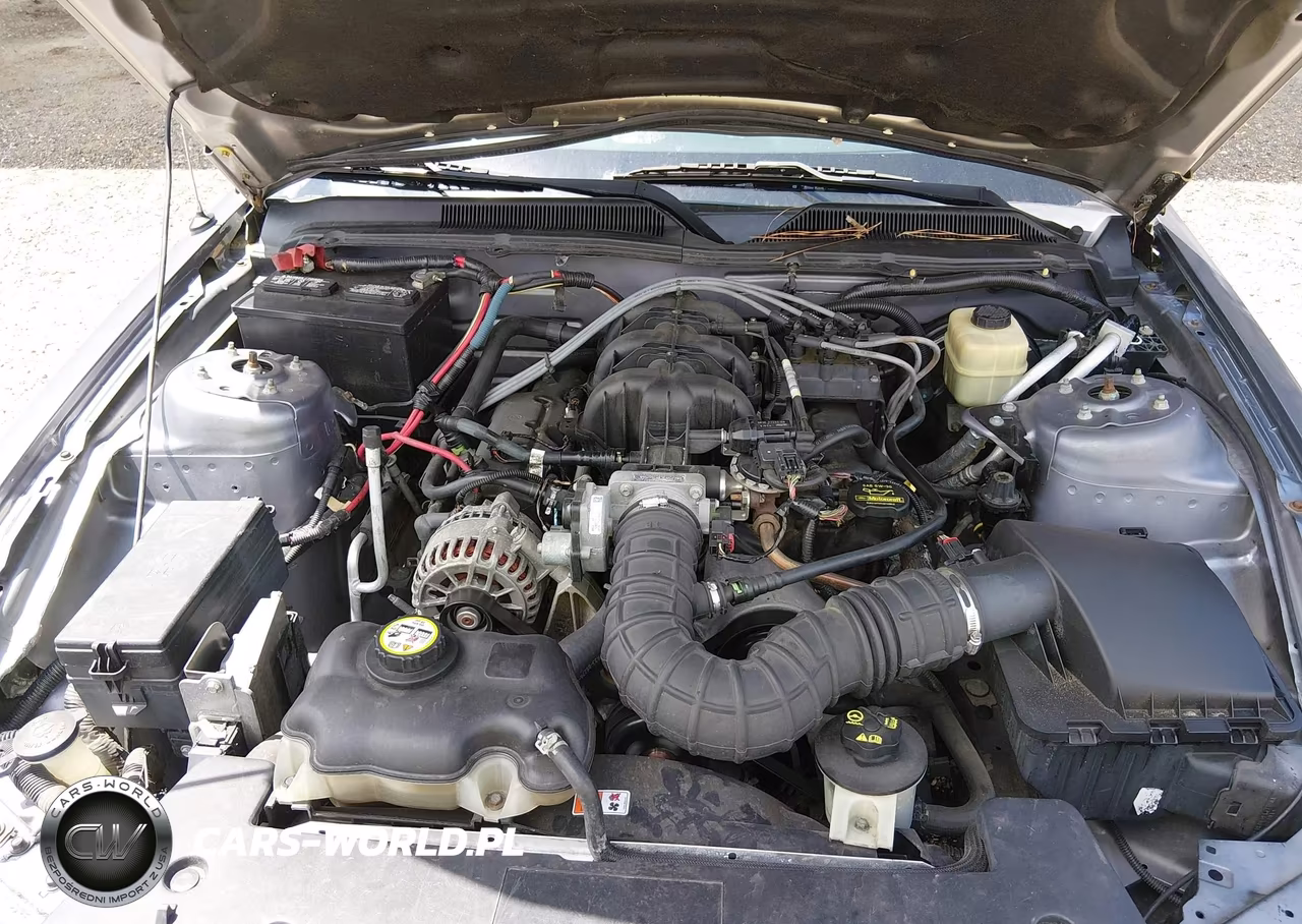 2006 Ford Mustang V6 VIN:1ZVHT80N865196878 - 10