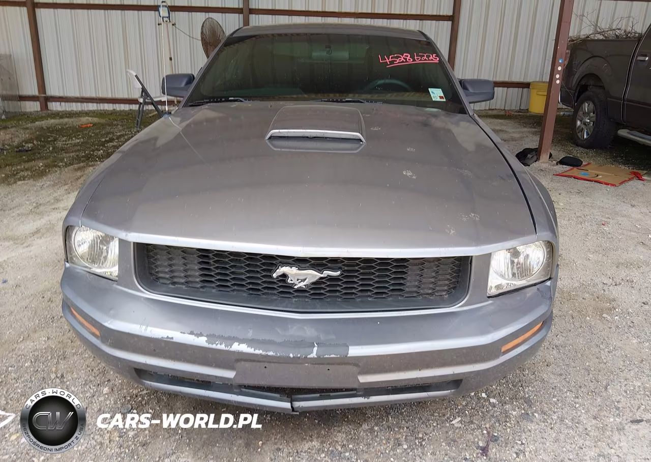 2006 Ford Mustang V6 VIN:1ZVHT80N865196878 - 12