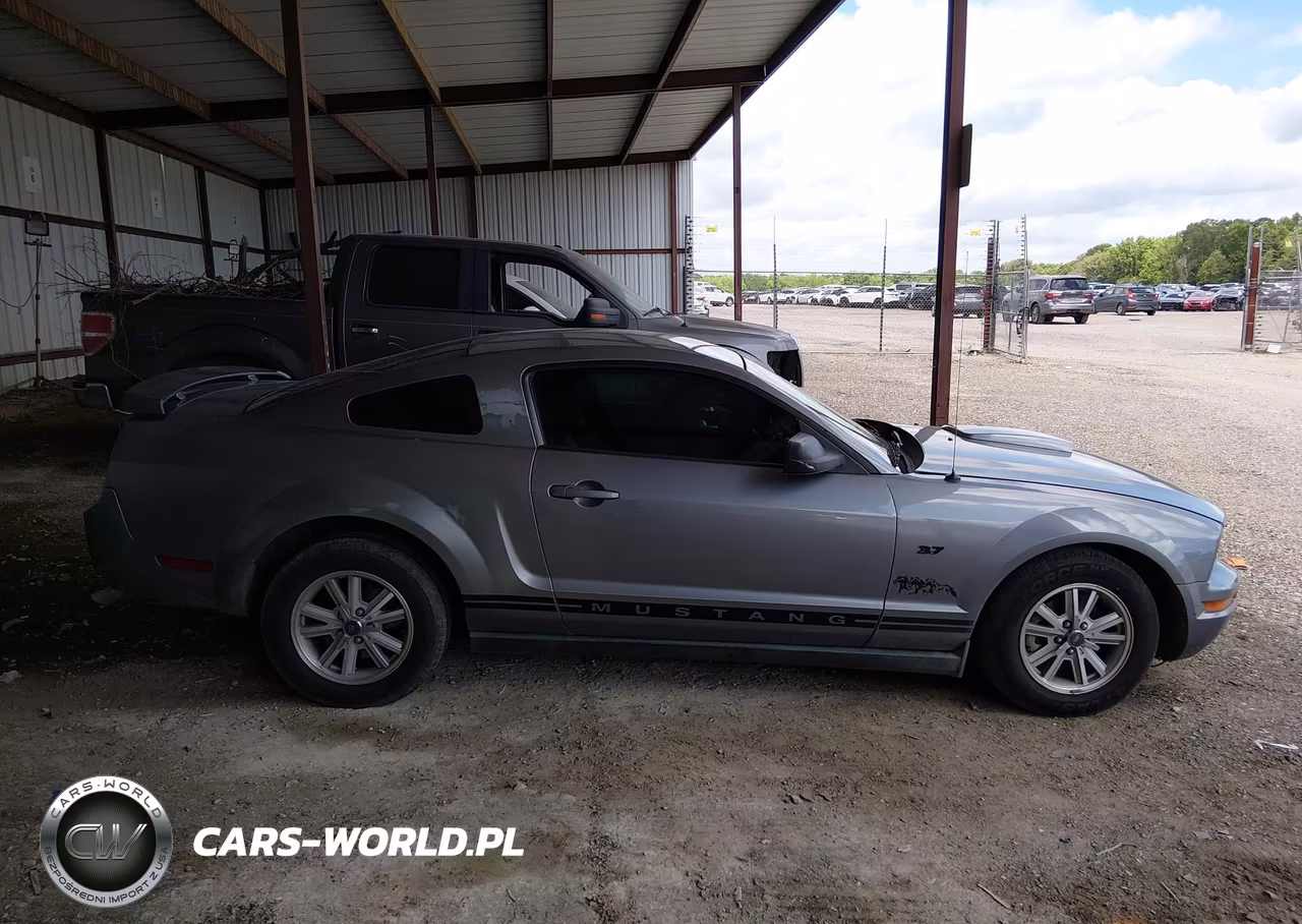 2006 Ford Mustang V6 VIN:1ZVHT80N865196878 - 13
