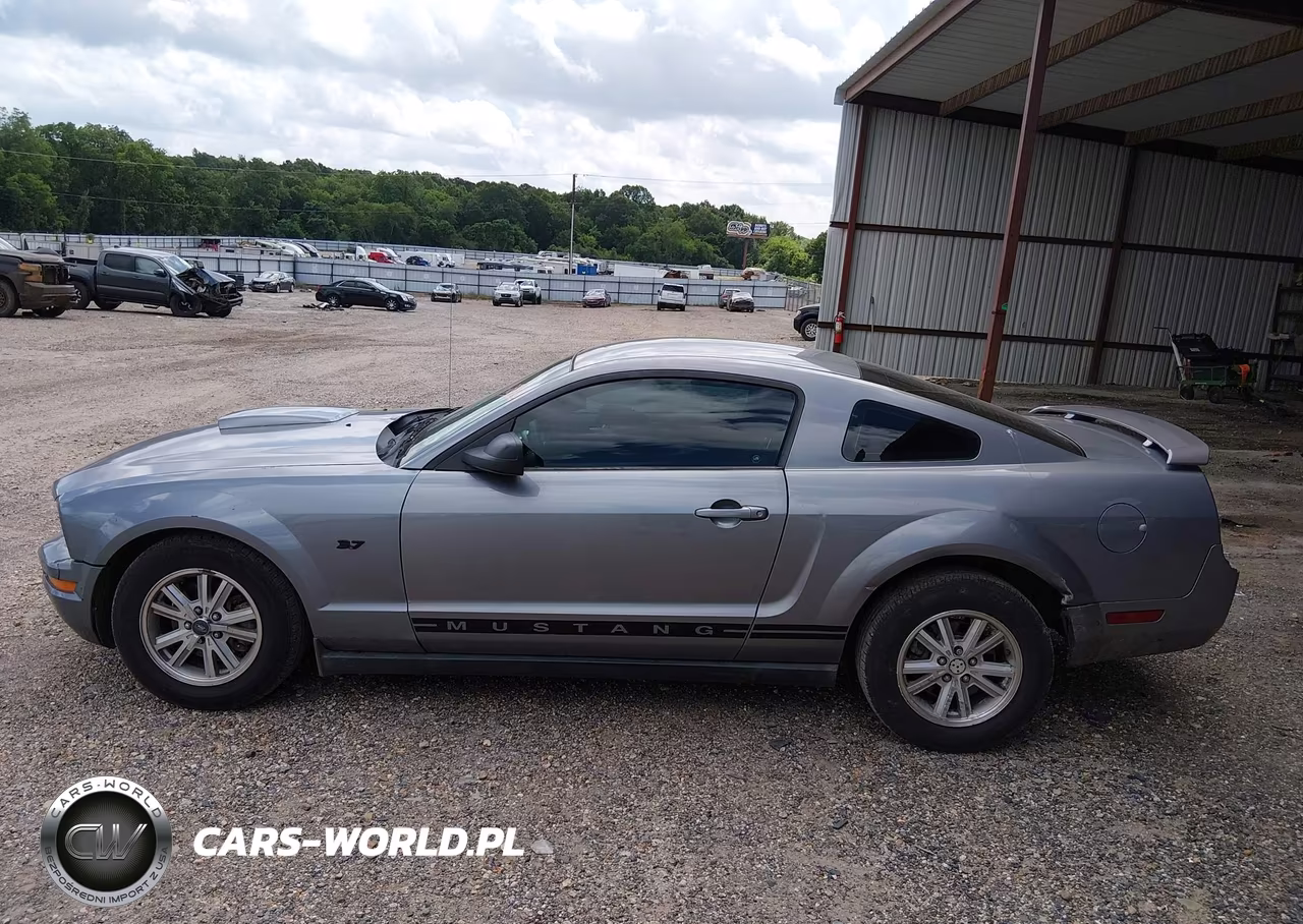 2006 Ford Mustang V6 VIN:1ZVHT80N865196878 - 14