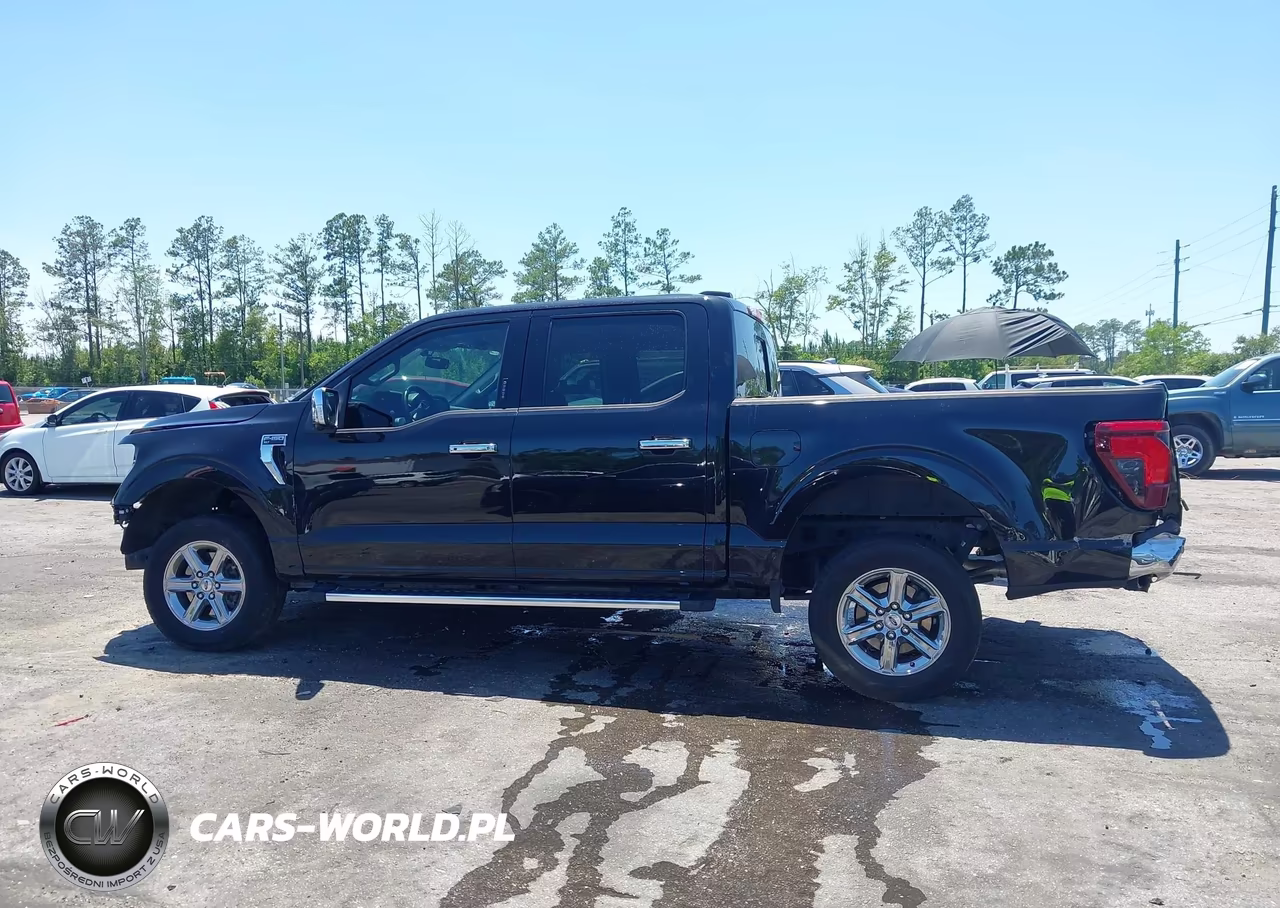 2024 Ford F-150 Xlt VIN:1FTEW3K80RKF77640 - 13