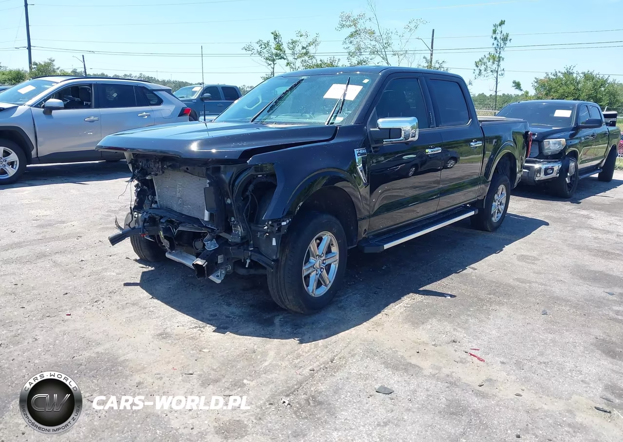 2024 Ford F-150 Xlt VIN:1FTEW3K80RKF77640 - 2