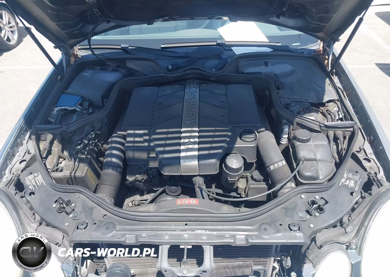 2005 Mercedes-Benz E 320 VIN:WDBUF65J25A699569 - 10