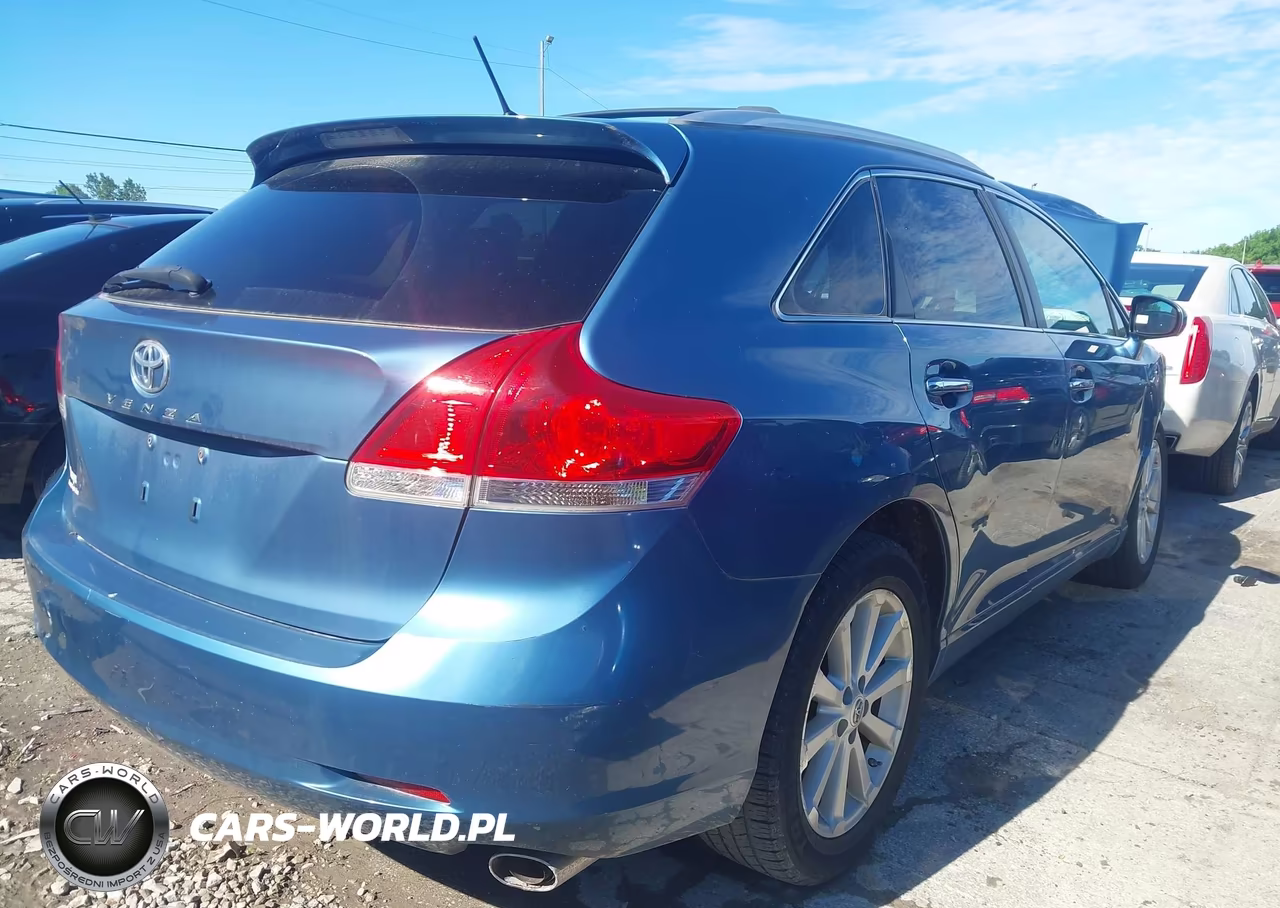 2009 Toyota Venza VIN:4T3ZE11A19U018490 - 4