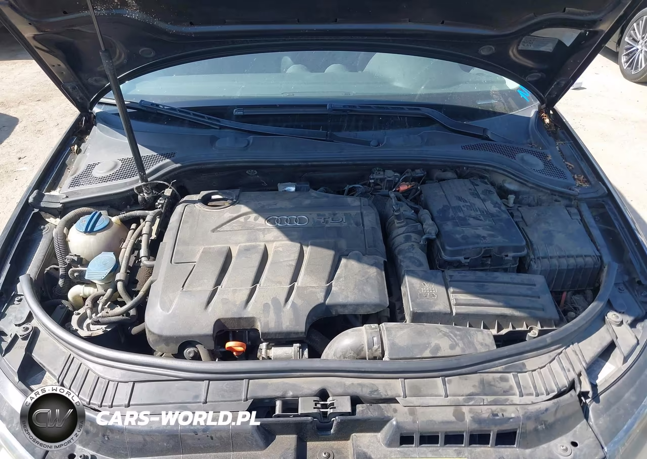 2011 Audi A3 2.0 Tdi Premium VIN:WAUKJAFM3BA029265 - 10