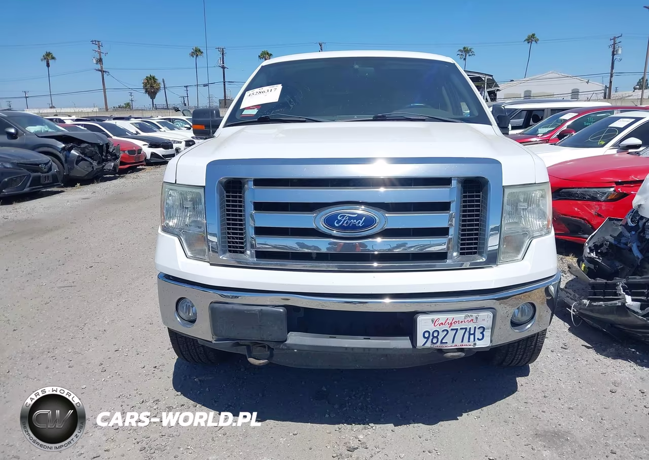 2010 Ford F-150 Fx4-Harley-Davidson-King Ranch-Lariat-Platinum-Xl-Xlt VIN:1FTFW1EV2AFA67104 - 12