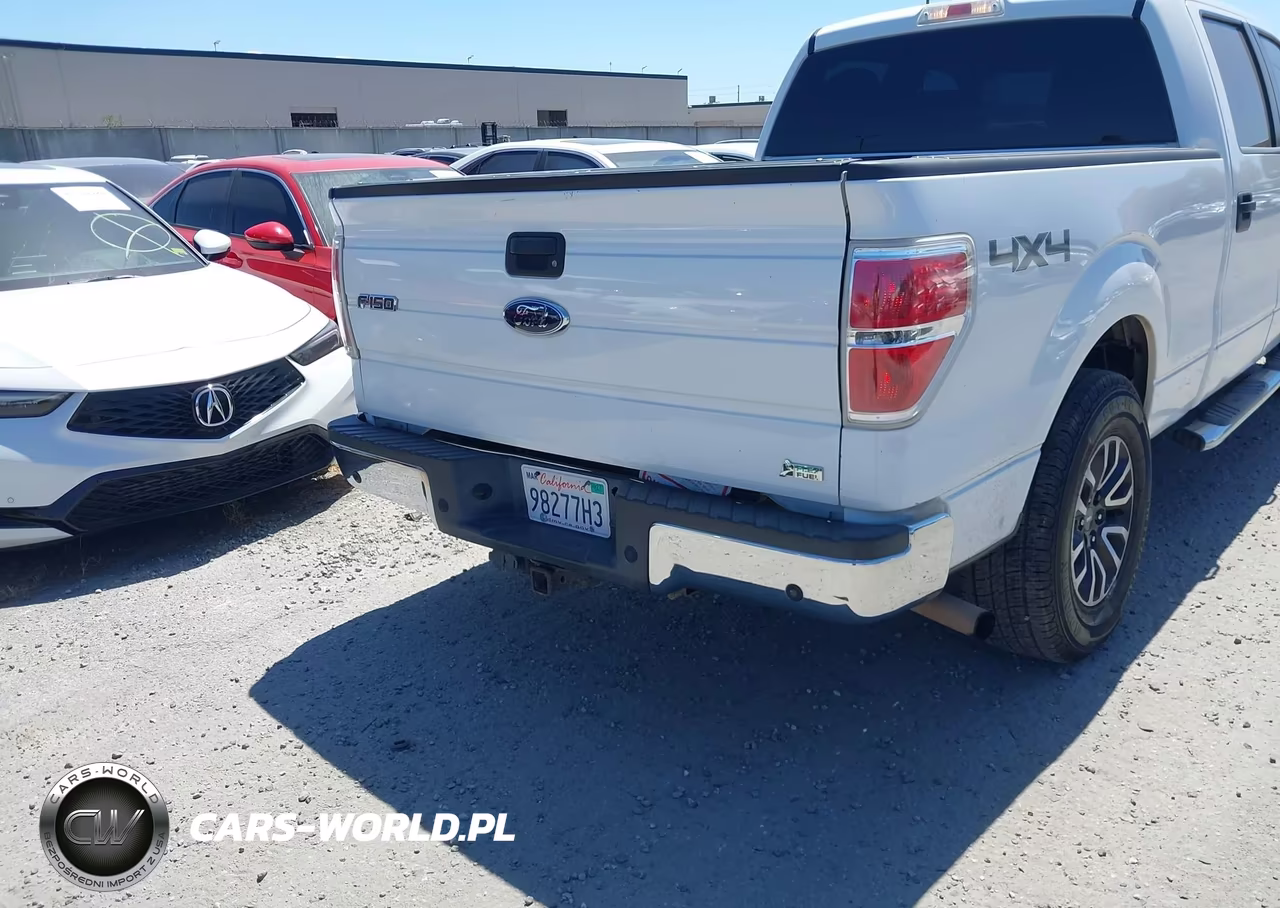 2010 Ford F-150 Fx4-Harley-Davidson-King Ranch-Lariat-Platinum-Xl-Xlt VIN:1FTFW1EV2AFA67104 - 16