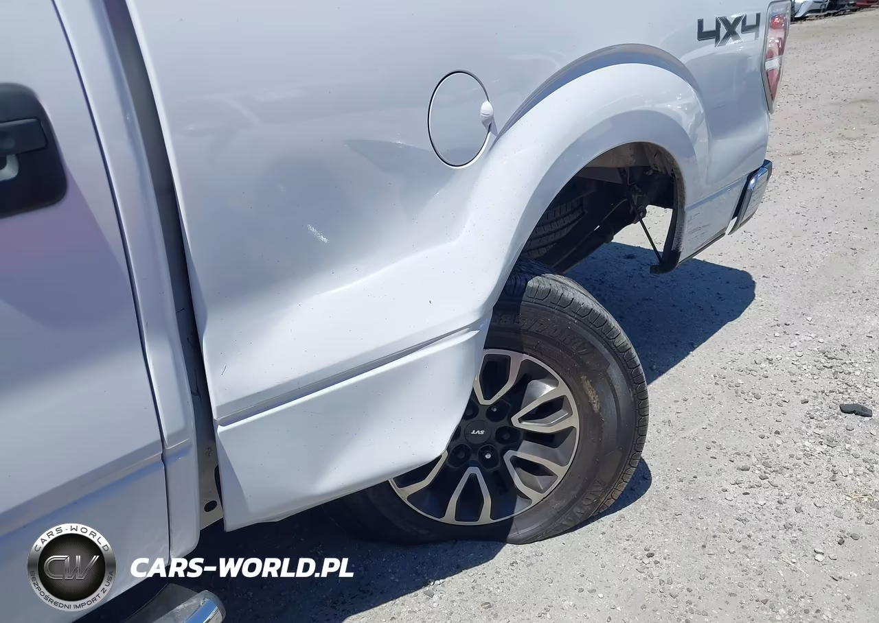 2010 Ford F-150 Fx4-Harley-Davidson-King Ranch-Lariat-Platinum-Xl-Xlt VIN:1FTFW1EV2AFA67104 - 19