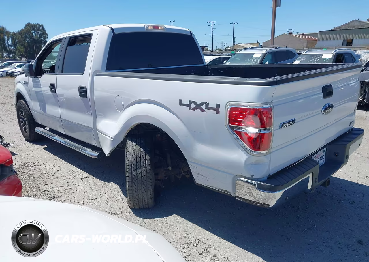 2010 Ford F-150 Fx4-Harley-Davidson-King Ranch-Lariat-Platinum-Xl-Xlt VIN:1FTFW1EV2AFA67104 - 3