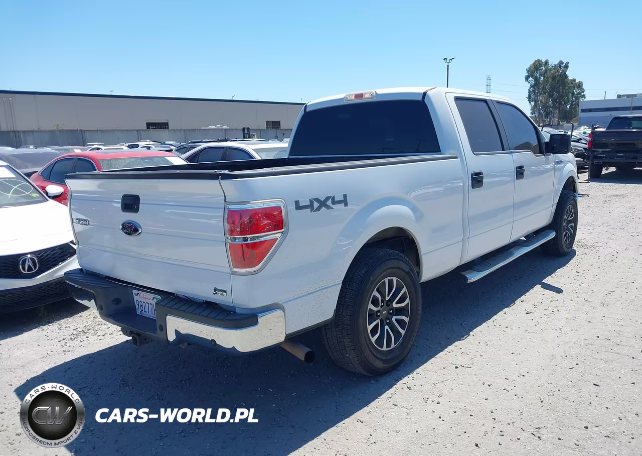 2010 Ford F-150 Fx4-Harley-Davidson-King Ranch-Lariat-Platinum-Xl-Xlt VIN:1FTFW1EV2AFA67104 - 4
