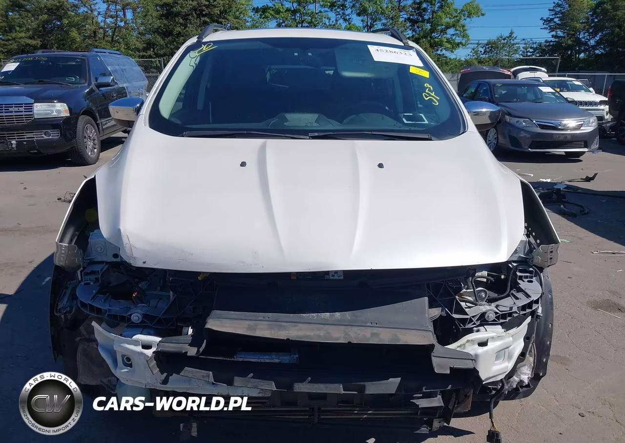2014 Ford Escape Se VIN:1FMCU9GX2EUC89208 - 13