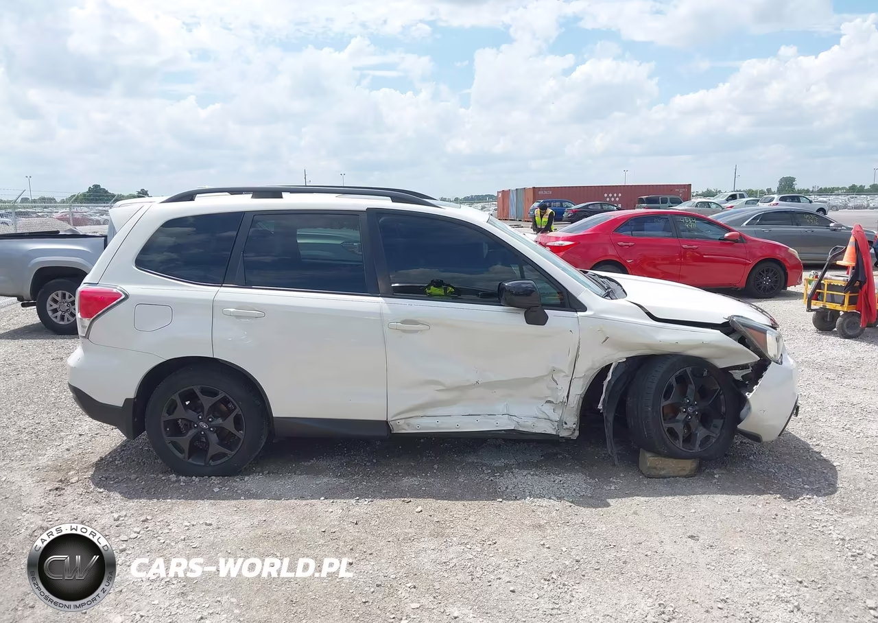 2018 Subaru Forester 2.5I Premium VIN:JF2SJAEC0JH456406 - 13