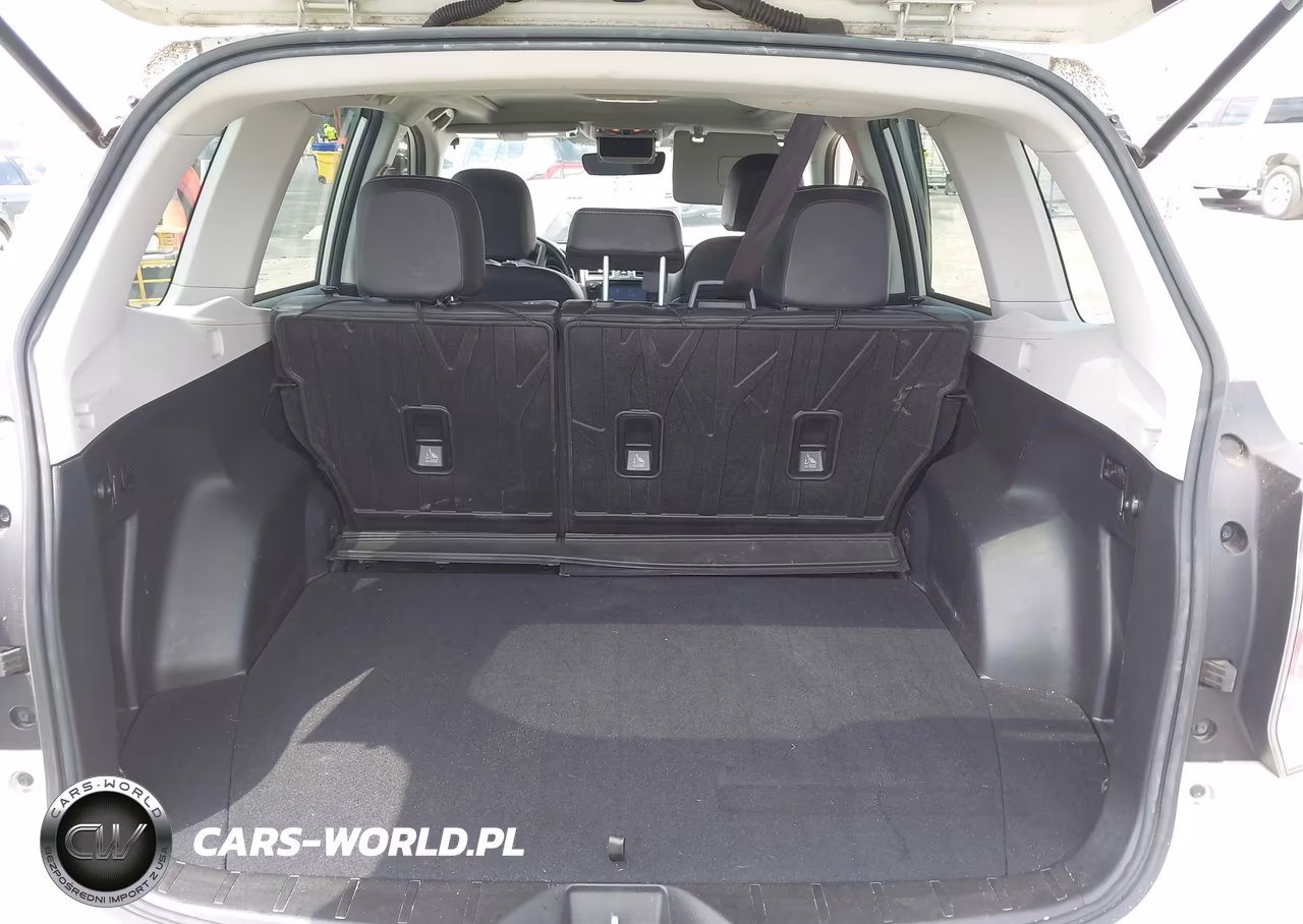 2018 Subaru Forester 2.5I Premium VIN:JF2SJAEC0JH456406 - 17