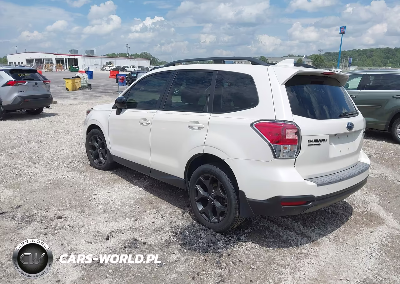 2018 Subaru Forester 2.5I Premium VIN:JF2SJAEC0JH456406 - 3