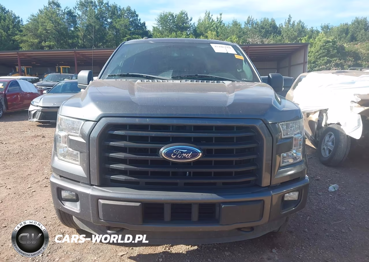 2016 Ford F-150 Xlt VIN:1FTEW1EP5GFC26610 - 13