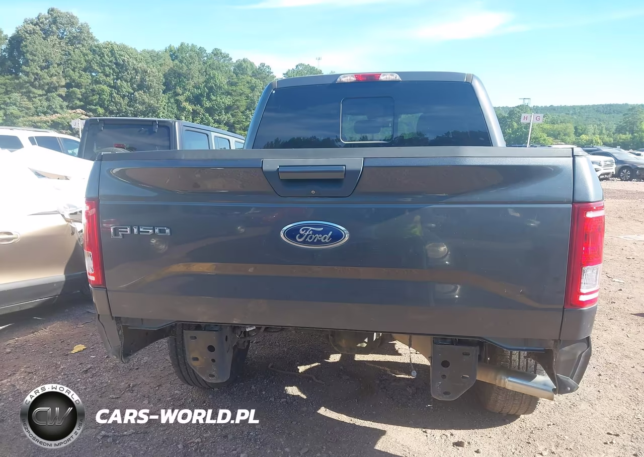 2016 Ford F-150 Xlt VIN:1FTEW1EP5GFC26610 - 17