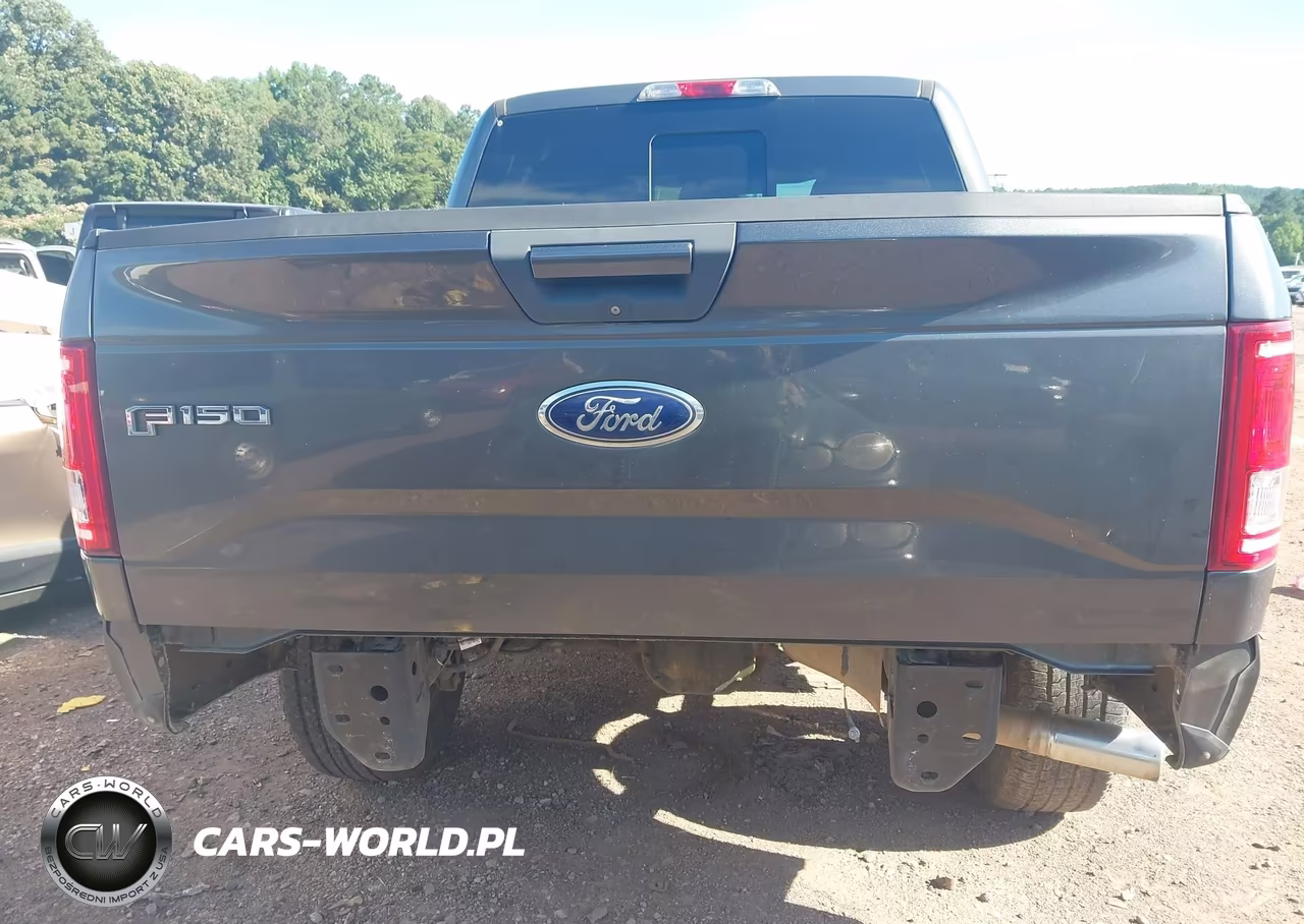 2016 Ford F-150 Xlt VIN:1FTEW1EP5GFC26610 - 6